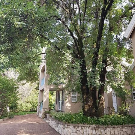 Sugarbush Accommodation Vereeniging Eksteriør billede